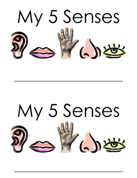 My Five Senses Kindergarten skill book by Marissa Grant | TPT