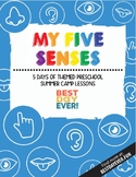 My Five Senses Preschool Summer Camp Lesson Plan