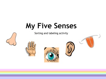 Preview of My Five Senses activity