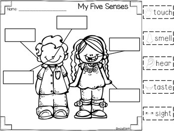 Preview of My Five Senses {labeling freebie}