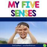 My Five Senses