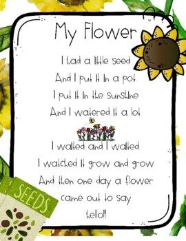 My Flower Preschool & Kinder Poem with props, & class set poem cut out