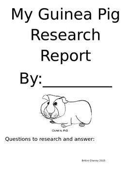 Preview of My Guinea Pig Research Report