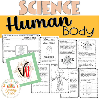 Preview of Human Body