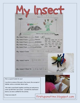 My Insect (Clay insect project) by First Upon A Time | TPT