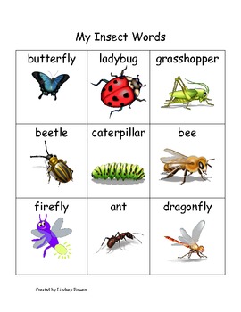 My Insect Words by Lindsey Powers | Teachers Pay Teachers