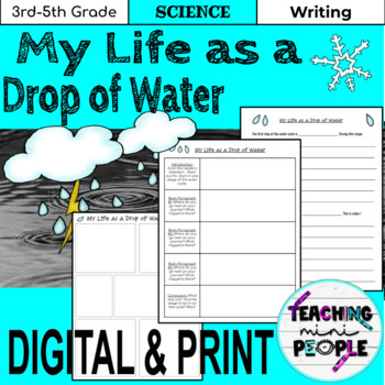 water cycle essay writing