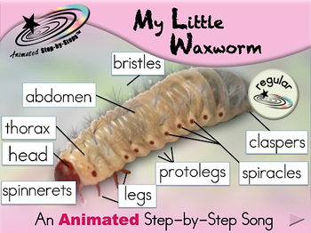 Give your line an upgrade with a fresh coat of wax worms!  Give your line  an upgrade with a fresh coat of wax worms! These little grubs are the  perfect icebreaker