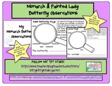 My Monarch & Painted Lady Butterfly Observations