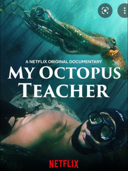 Preview of My Octopus Teacher Movie Guide Questions in English