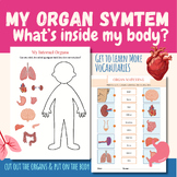 My Organ System | What's inside my body?