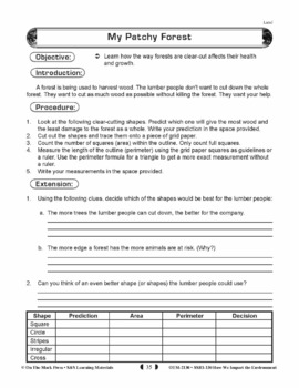 My Patchy Forest Lesson Plan (environment) Grades 5-8 by On The Mark Press