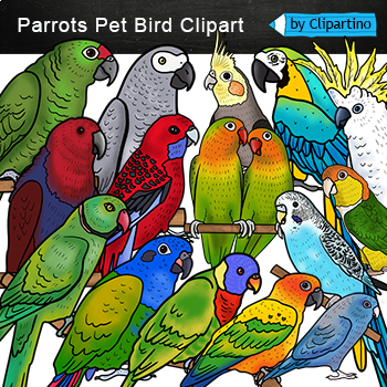 pet bird clipart