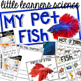 My Pet Fish - Science for Little Learners (preschool, pre-