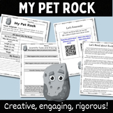 My Pet Rock: A Science Homework Project