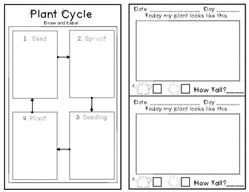 My Plant Journal for Young Learners by Kindergarten Kids At Play