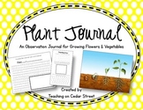 My Plant Observation Journal