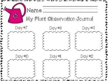 My Plant Observation Journal by Lil Scholars | Teachers Pay Teachers