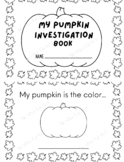 My Pumpkin Investigation