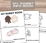 My Rabbit Book, preschool booklet