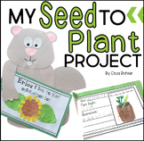 My Seed to Plant Project
