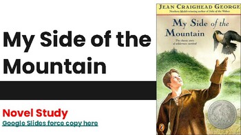 novel my side of the mountain