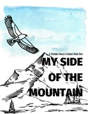 My Side of the Mountain Book Dive