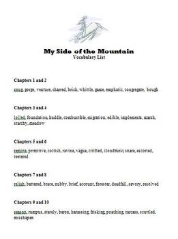 Preview of My Side of the Mountain - Vocabulary List