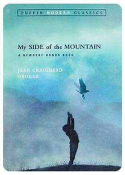 Preview of My Side of the Mountain novel - Questions and Answer Key