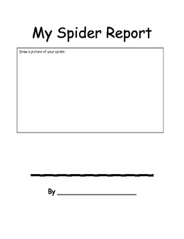 Preview of My Spider Report Format