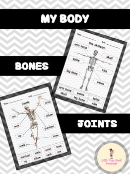 Preview of My body (Bones and joints)