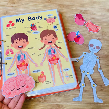 Preview of My body ( book about the human body )