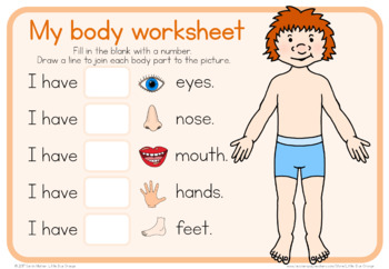 my body worksheets by little blue orange teachers pay teachers