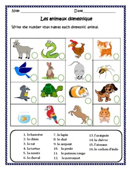 domestic animals worksheets teaching resources tpt