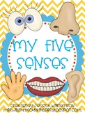 My five senses unit