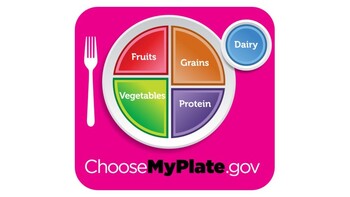 Preview of MyPlate