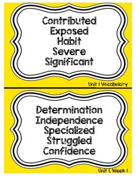 Preview of MyView 4th Grade Focus Wall - Vocabulary