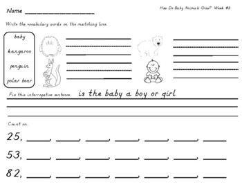 Preview of MyView First Grade Units 1-5 Bundle (Morning Work) Dnealian/ Print (Updated)