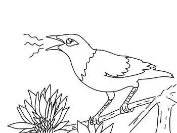 Preview of Mynah Bird Coloring Page