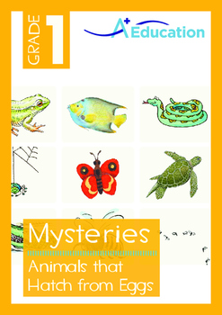 Mysteries - Animals that Hatch from Eggs - Grade 1 | TPT