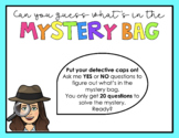 Mystery Bag Game