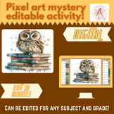 Mystery Digital EDITABLE LOW PREP - Book Owl PIXEL ART Rev