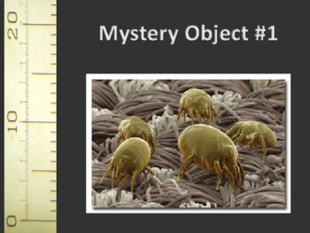 Preview of Mystery Microscopic Objects activity