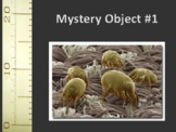 Mystery Microscopic Objects activity
