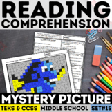 NonFiction Reading Comprehension Fun Activities Mystery Pi