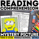 Reading Comprehension Mystery Picture Passage & Questions 