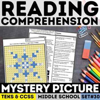Preview of Mystery Picture | Reading Comprehension | Winter Snowflake | Print & Digital
