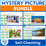 Mystery Picture Self-Checking Google Activities BIG Bundle