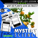 Mystery Science 3rd Grade Power of Flowers | Mystery 2 Pla