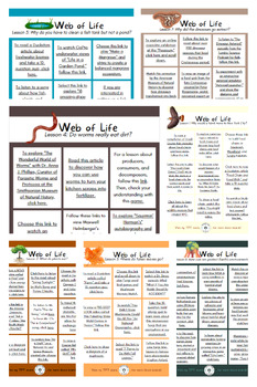Preview of Mystery Science Web of Life Unit 5th Grade Digital Choice Board Bundle